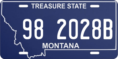MT license plate 982028B