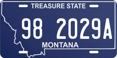MT license plate 982029A