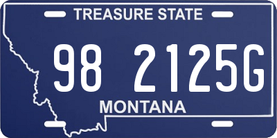 MT license plate 982125G