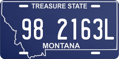 MT license plate 982163L