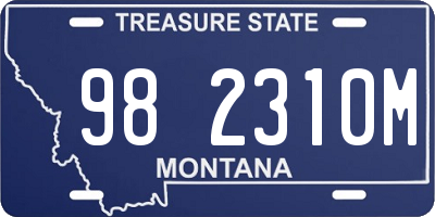 MT license plate 982310M