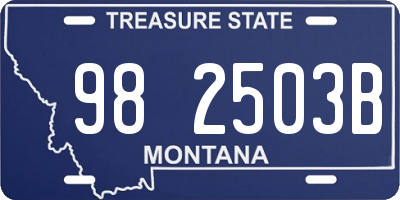 MT license plate 982503B