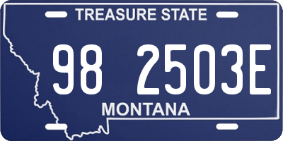 MT license plate 982503E