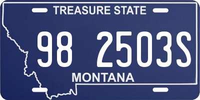 MT license plate 982503S
