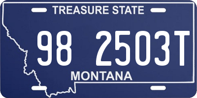 MT license plate 982503T