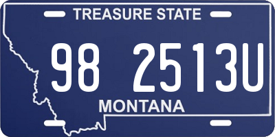 MT license plate 982513U