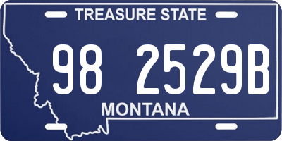 MT license plate 982529B