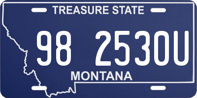 MT license plate 982530U