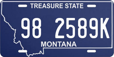 MT license plate 982589K