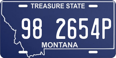MT license plate 982654P