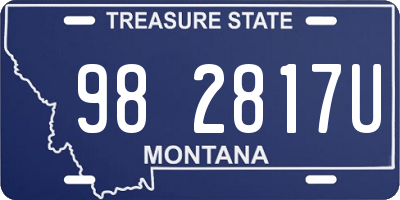 MT license plate 982817U