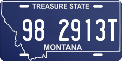 MT license plate 982913T