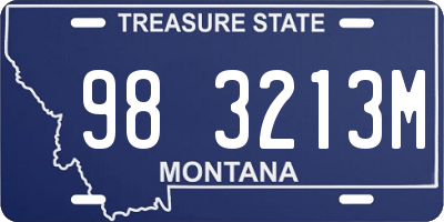 MT license plate 983213M