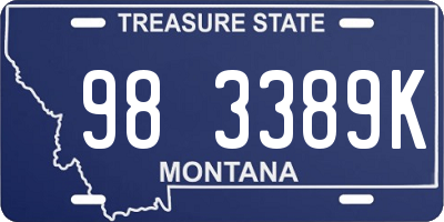 MT license plate 983389K