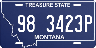 MT license plate 983423P