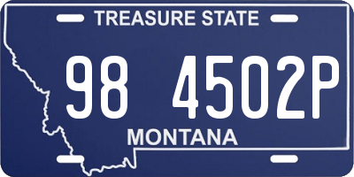 MT license plate 984502P