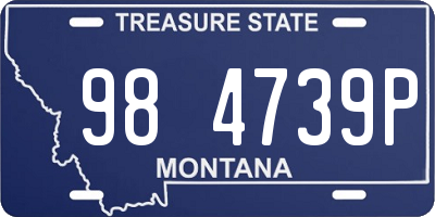 MT license plate 984739P