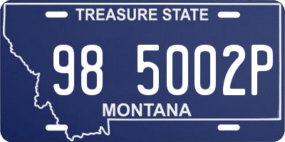 MT license plate 985002P
