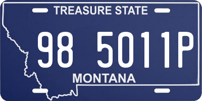 MT license plate 985011P