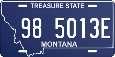 MT license plate 985013E