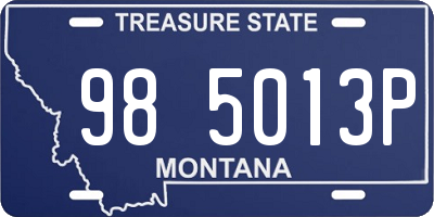 MT license plate 985013P