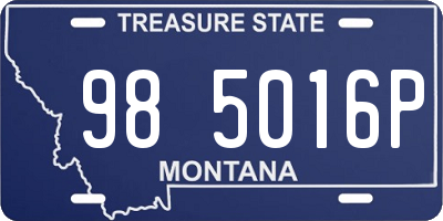 MT license plate 985016P