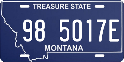 MT license plate 985017E
