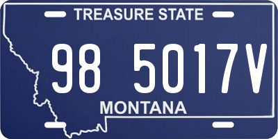 MT license plate 985017V