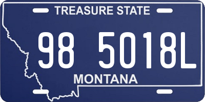 MT license plate 985018L