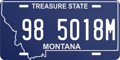 MT license plate 985018M