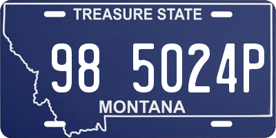 MT license plate 985024P