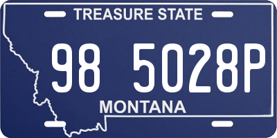 MT license plate 985028P