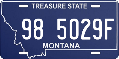 MT license plate 985029F
