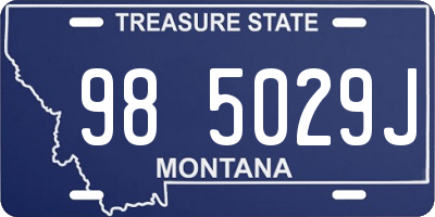 MT license plate 985029J