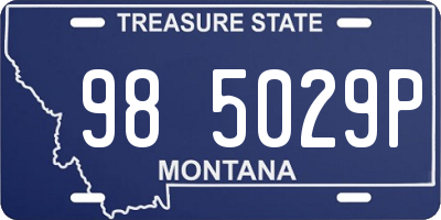 MT license plate 985029P