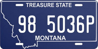 MT license plate 985036P