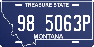 MT license plate 985063P