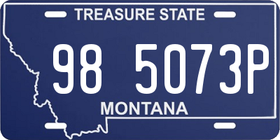 MT license plate 985073P