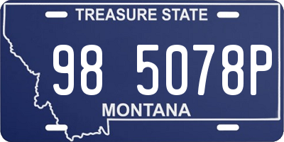 MT license plate 985078P