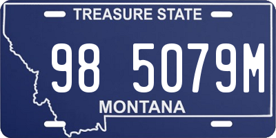 MT license plate 985079M