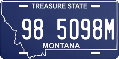 MT license plate 985098M