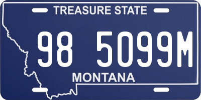MT license plate 985099M