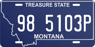 MT license plate 985103P