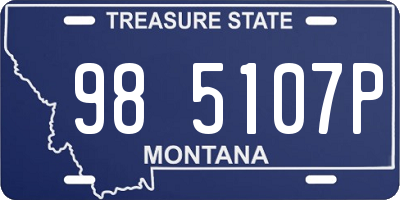 MT license plate 985107P