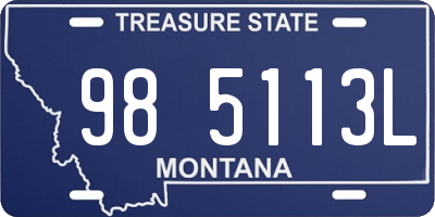 MT license plate 985113L