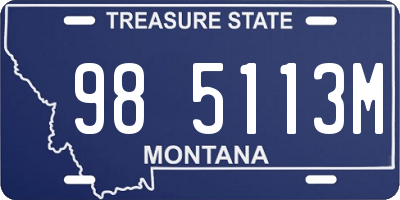 MT license plate 985113M