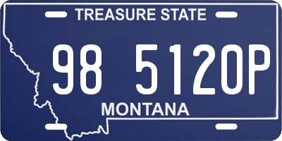 MT license plate 985120P