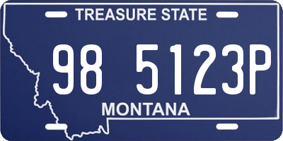 MT license plate 985123P