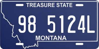 MT license plate 985124L