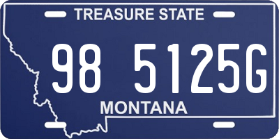 MT license plate 985125G